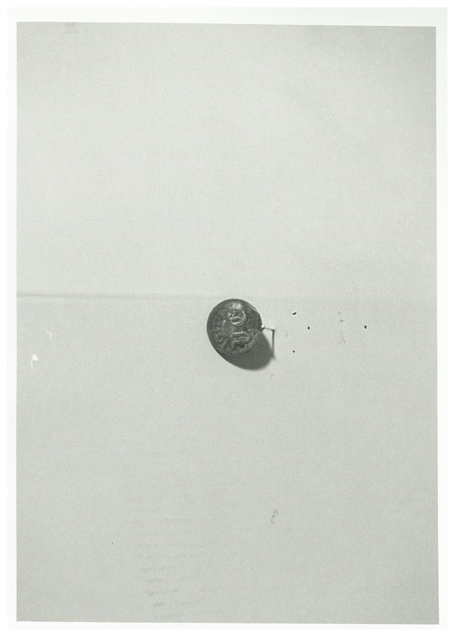 bottone, elemento d'insieme - manifattura italiana (ultimo quarto XIX)