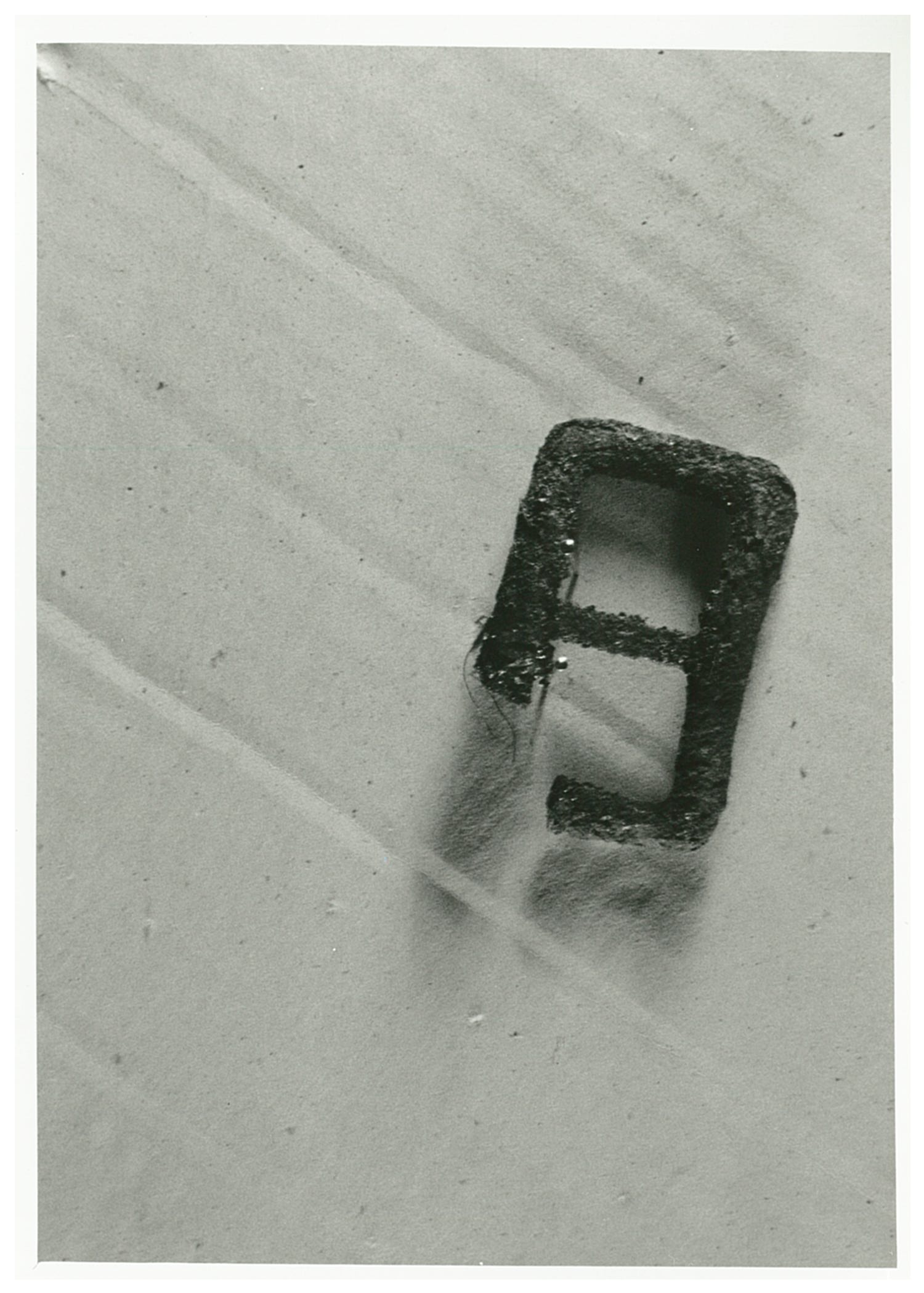 fibbia, frammento (ultimo quarto XIX (?))