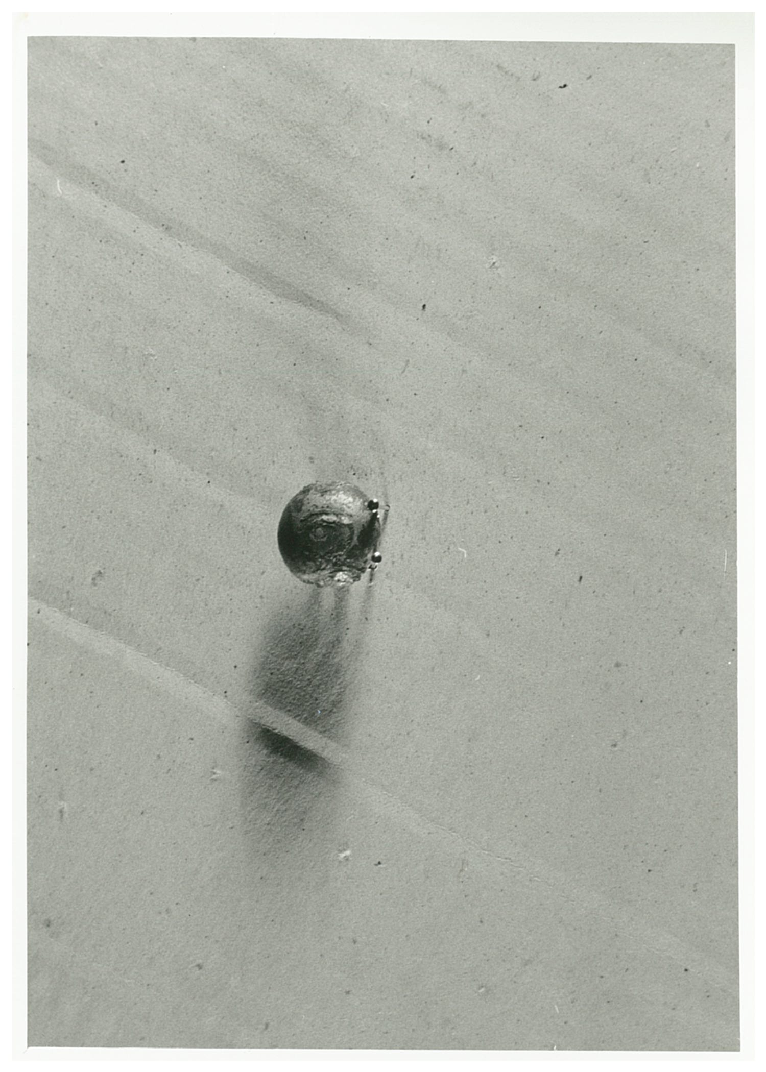 bottone, elemento d'insieme - manifattura italiana (ultimo quarto XIX)