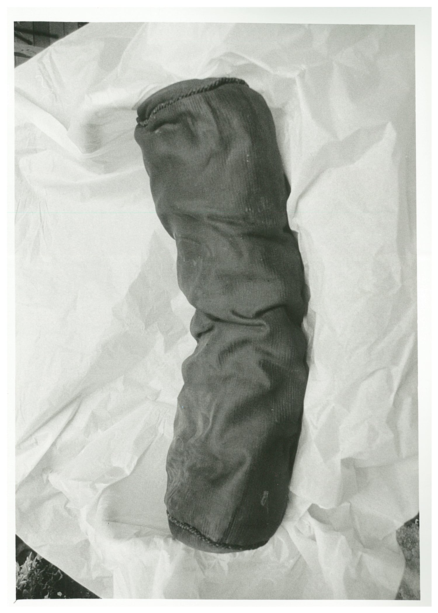 cuscino, opera isolata - manifattura veneziana (?) (primo quarto XX)