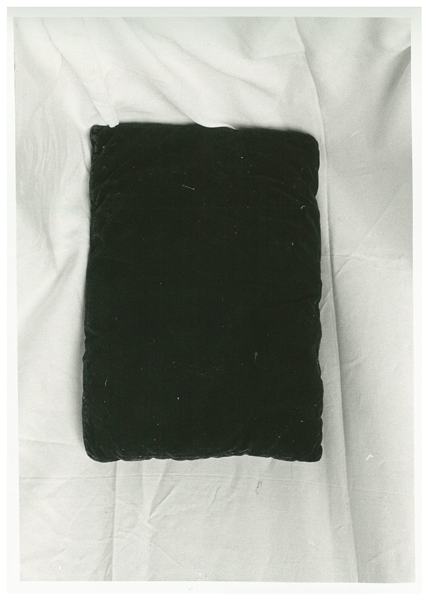 cuscino, opera isolata - manifattura italiana (fine/ inizio XIX-XX)