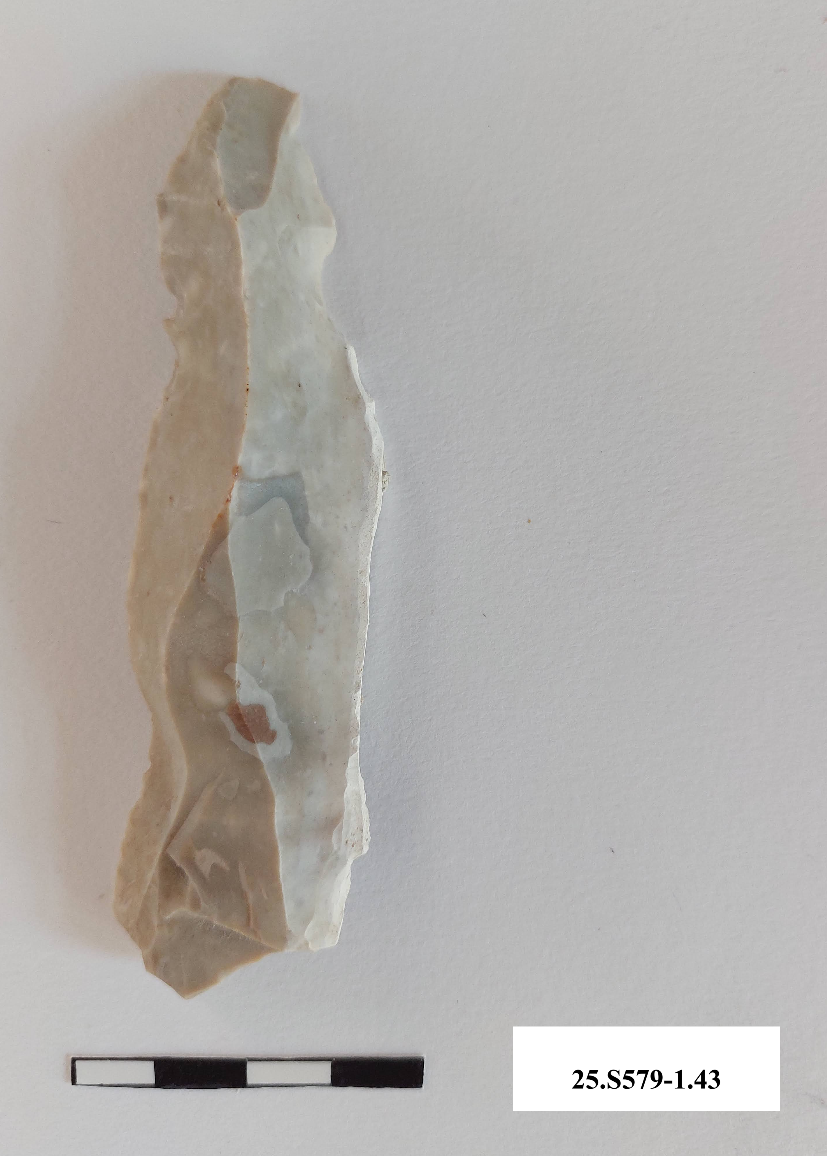 SINGOLO OGGETTO/ lama, PERIODIZZAZIONI/ PREISTORIA