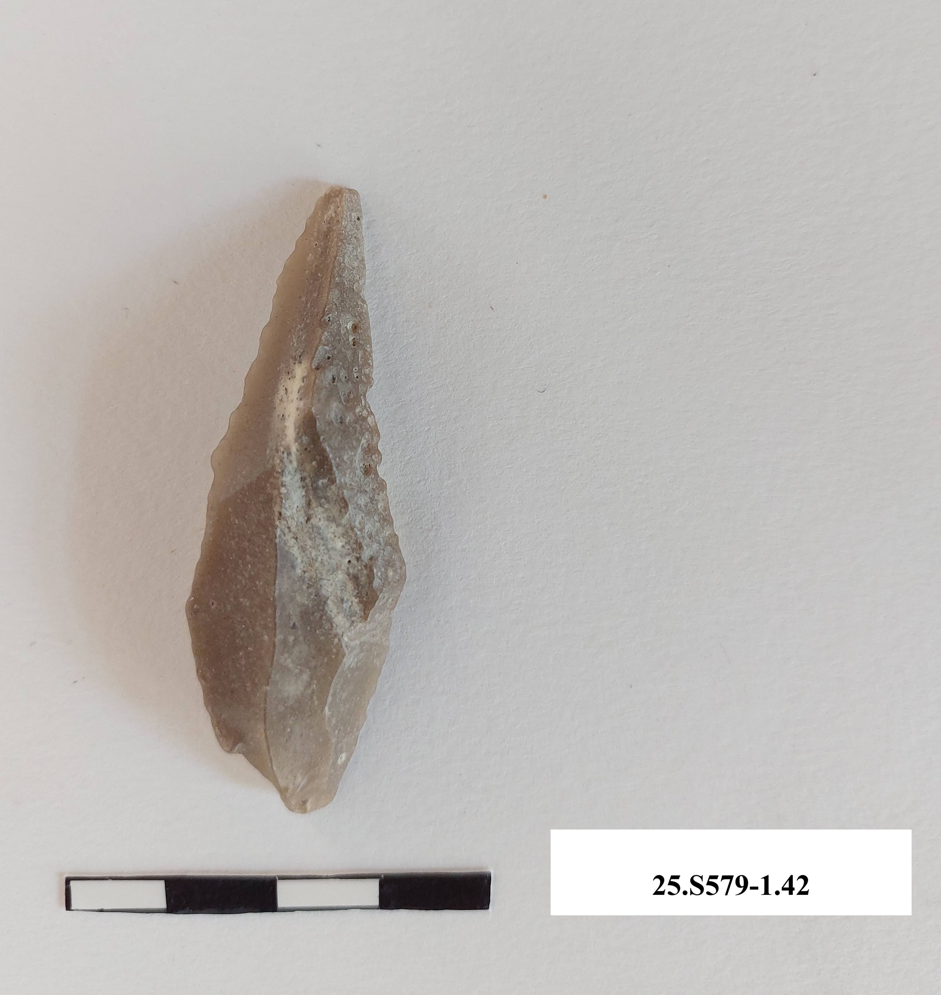 SINGOLO OGGETTO/ lama, PERIODIZZAZIONI/ PREISTORIA