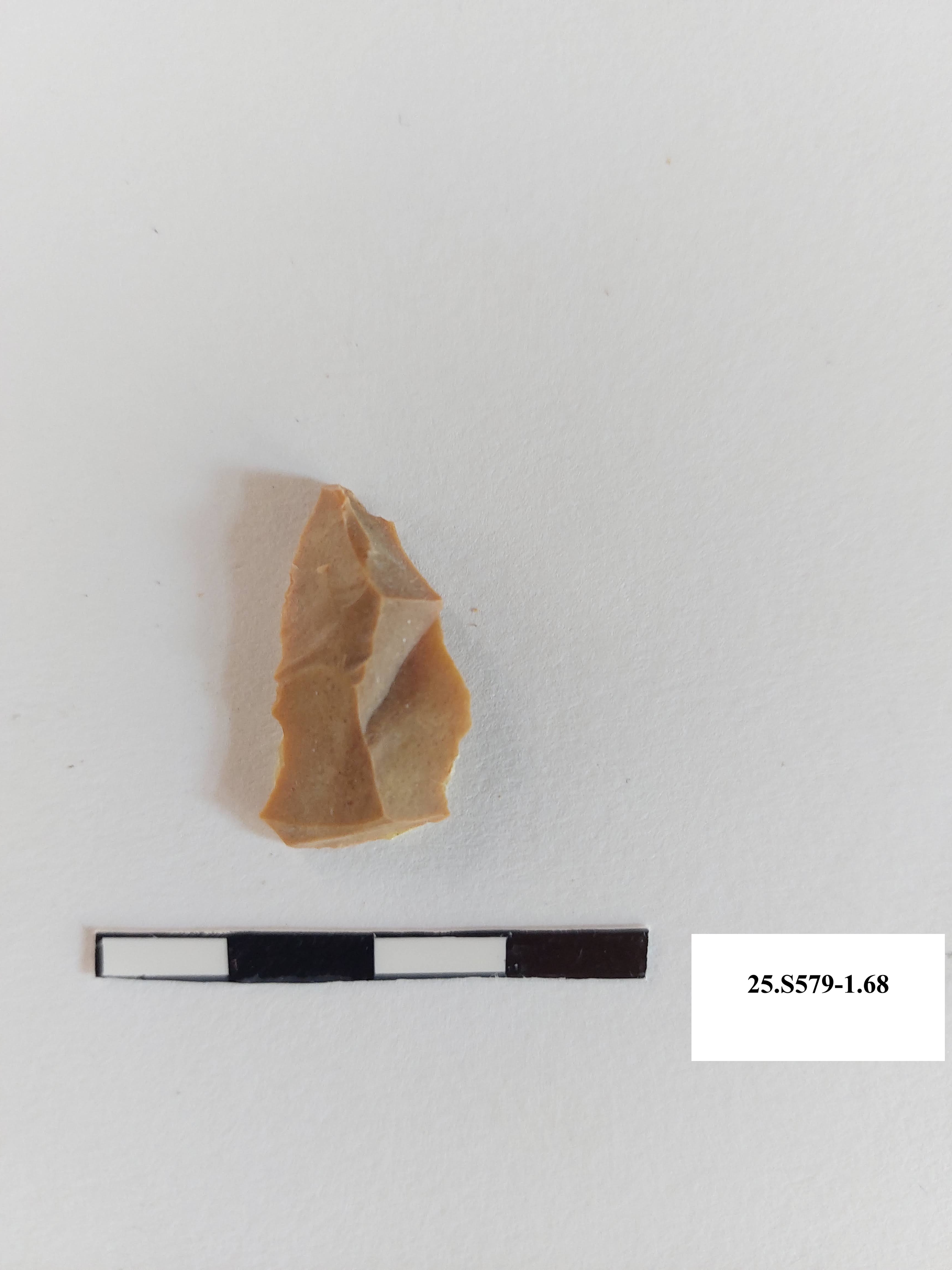 SINGOLO OGGETTO/ scheggia, PERIODIZZAZIONI/ PREISTORIA