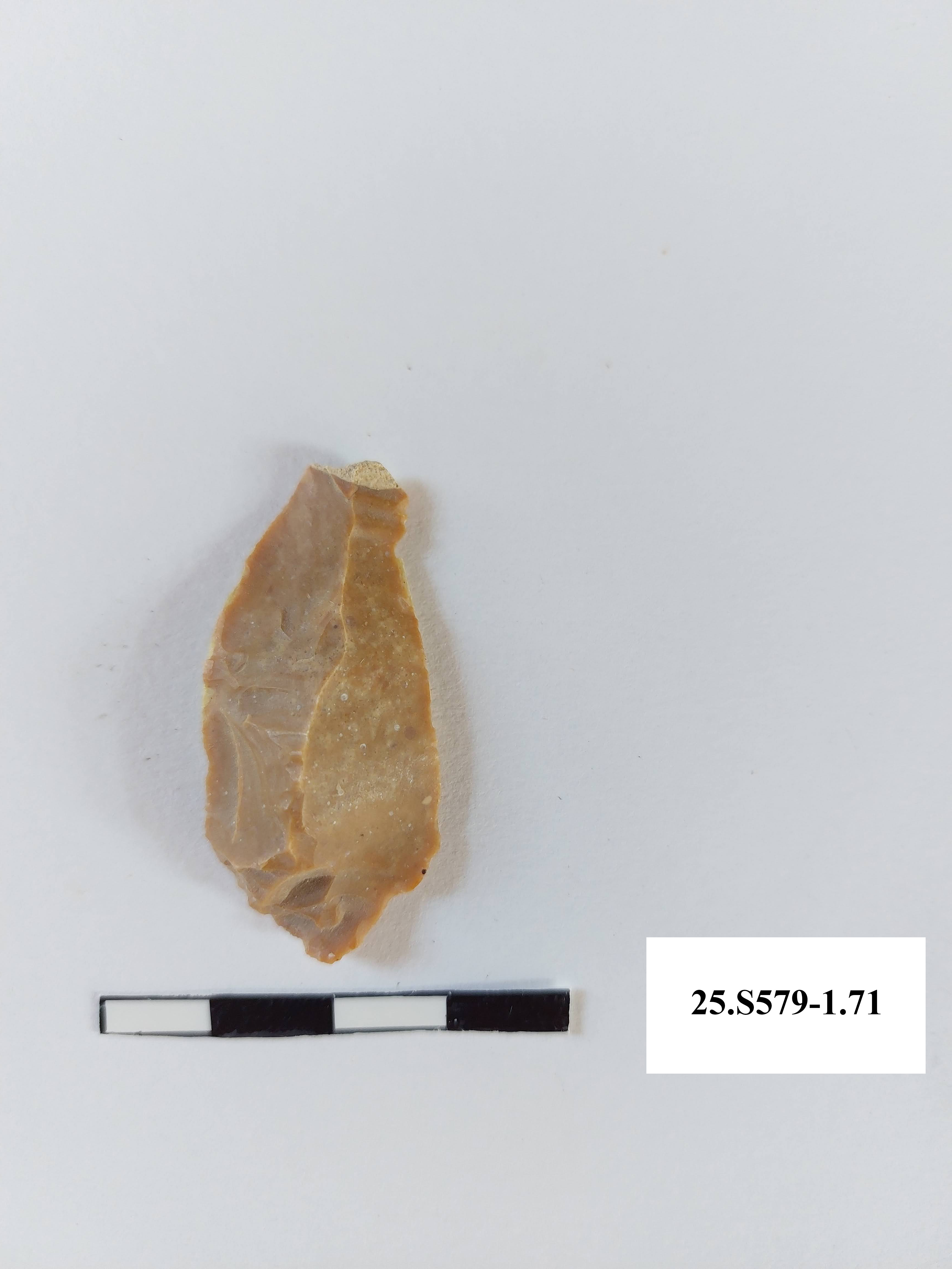 SINGOLO OGGETTO/ scheggia, PERIODIZZAZIONI/ PREISTORIA