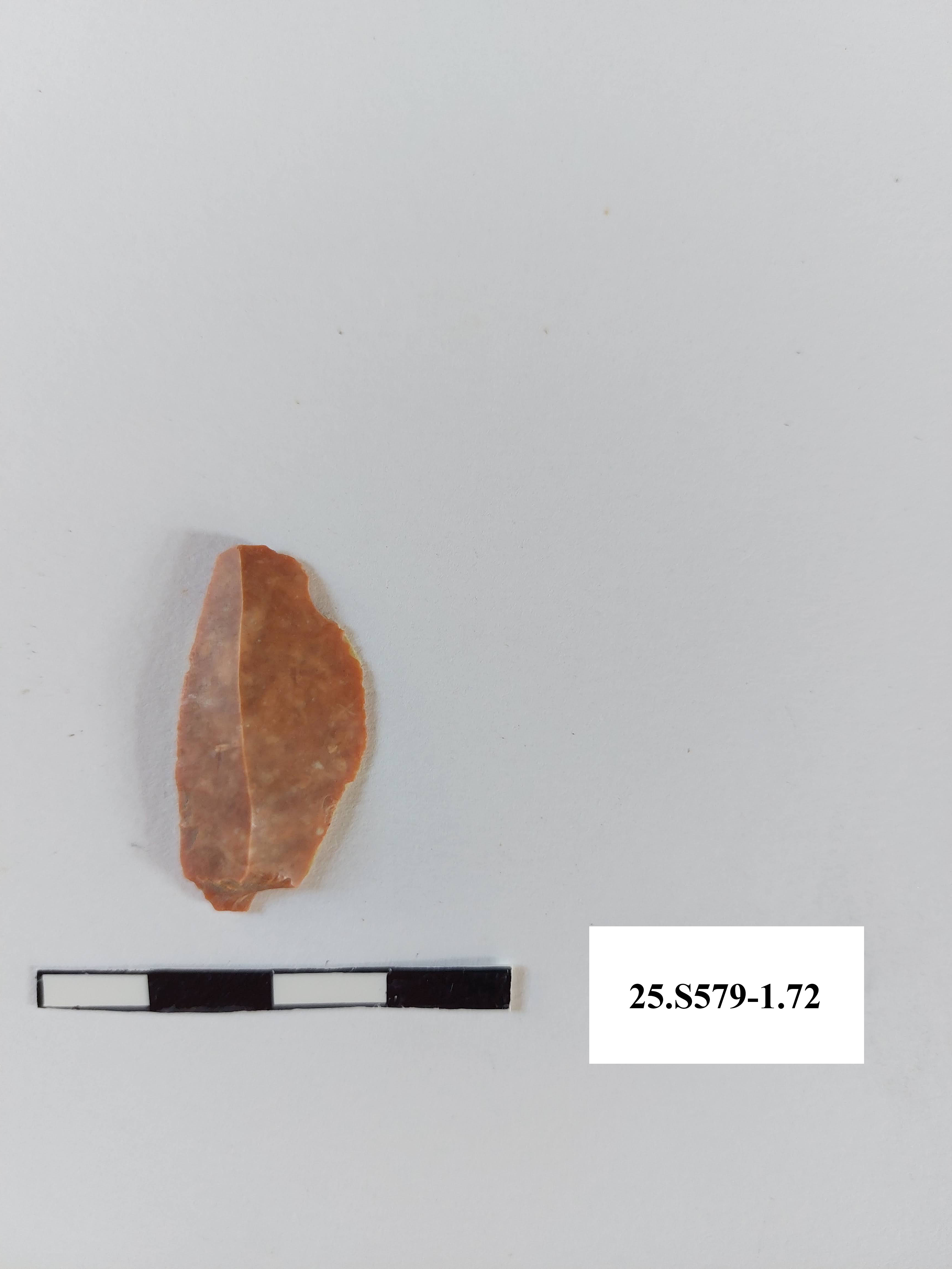 SINGOLO OGGETTO/ scheggia, PERIODIZZAZIONI/ PREISTORIA