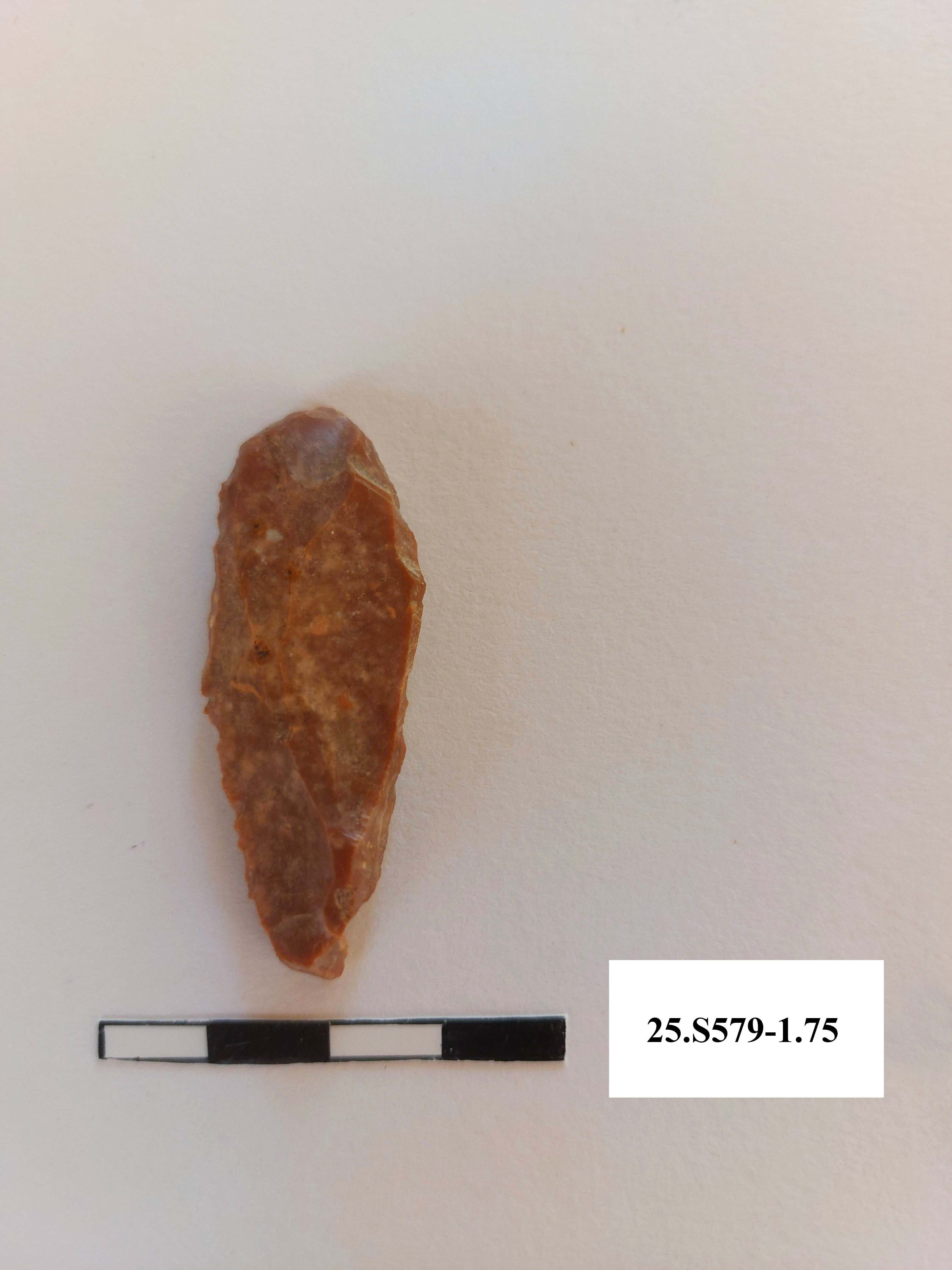 SINGOLO OGGETTO/ grattatoio, PERIODIZZAZIONI/ PREISTORIA/ Paleolitico