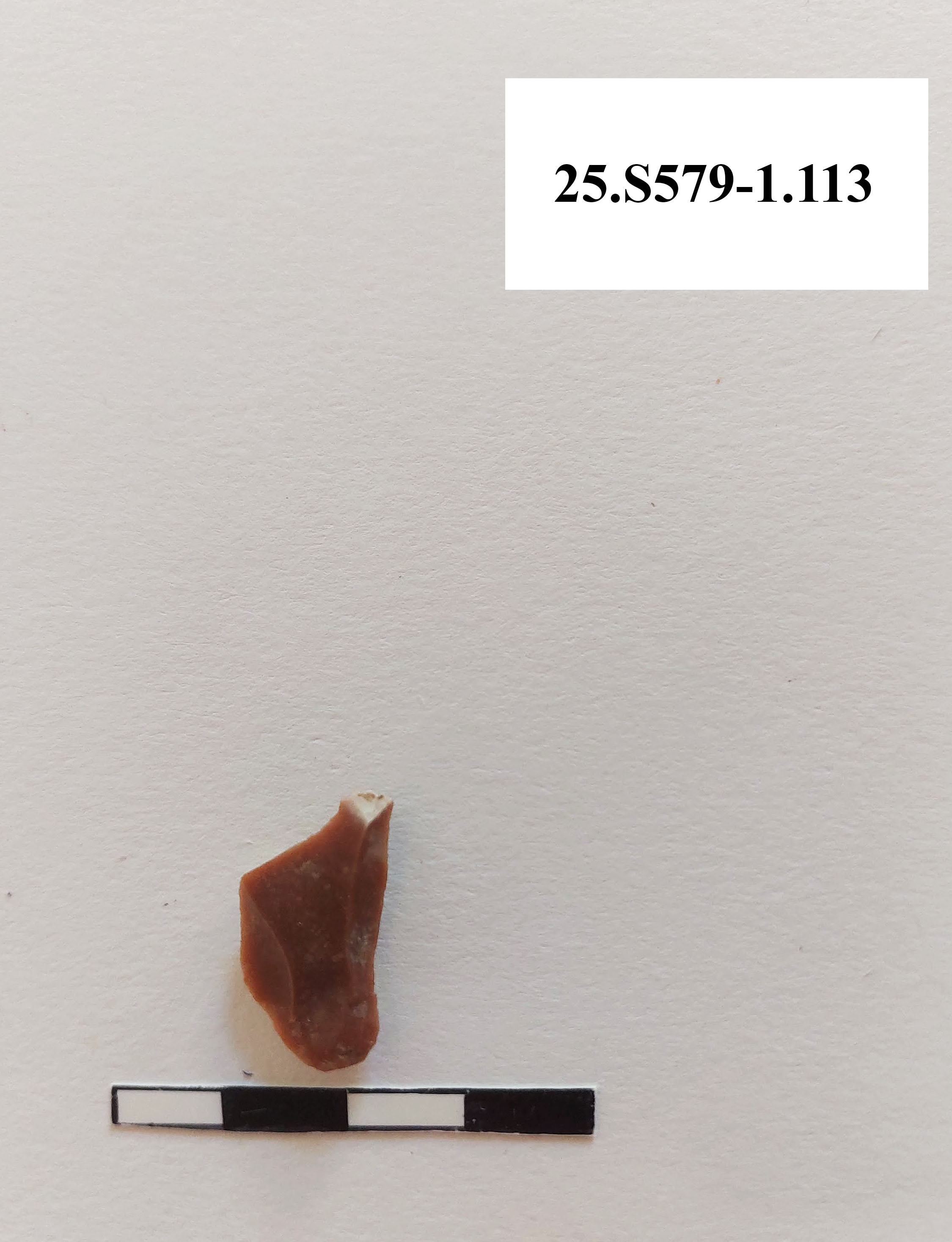 SINGOLO OGGETTO/ scheggia, PERIODIZZAZIONI/ PREISTORIA