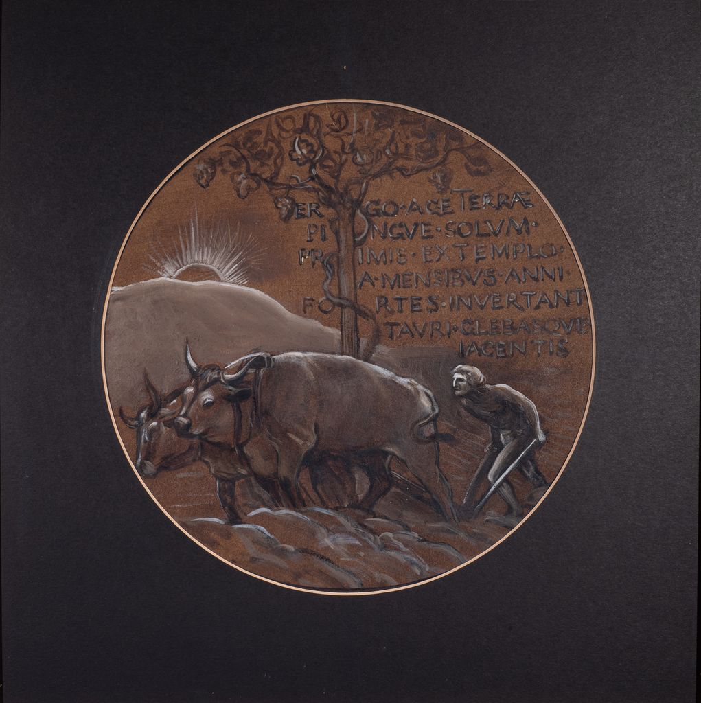 Aratura, contadino con buoi (disegno) di Gioja Edoardo (XX)