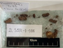 SINGOLO OGGETTO/ fibula, SECOLI/ VI a.C