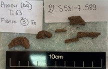 SINGOLO OGGETTO/ fibula, SECOLI/ VI a.C