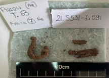 SINGOLO OGGETTO/ fibula, SECOLI/ VI a.C