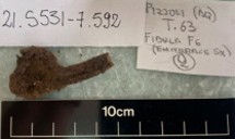 SINGOLO OGGETTO/ fibula, SECOLI/ VI a.C