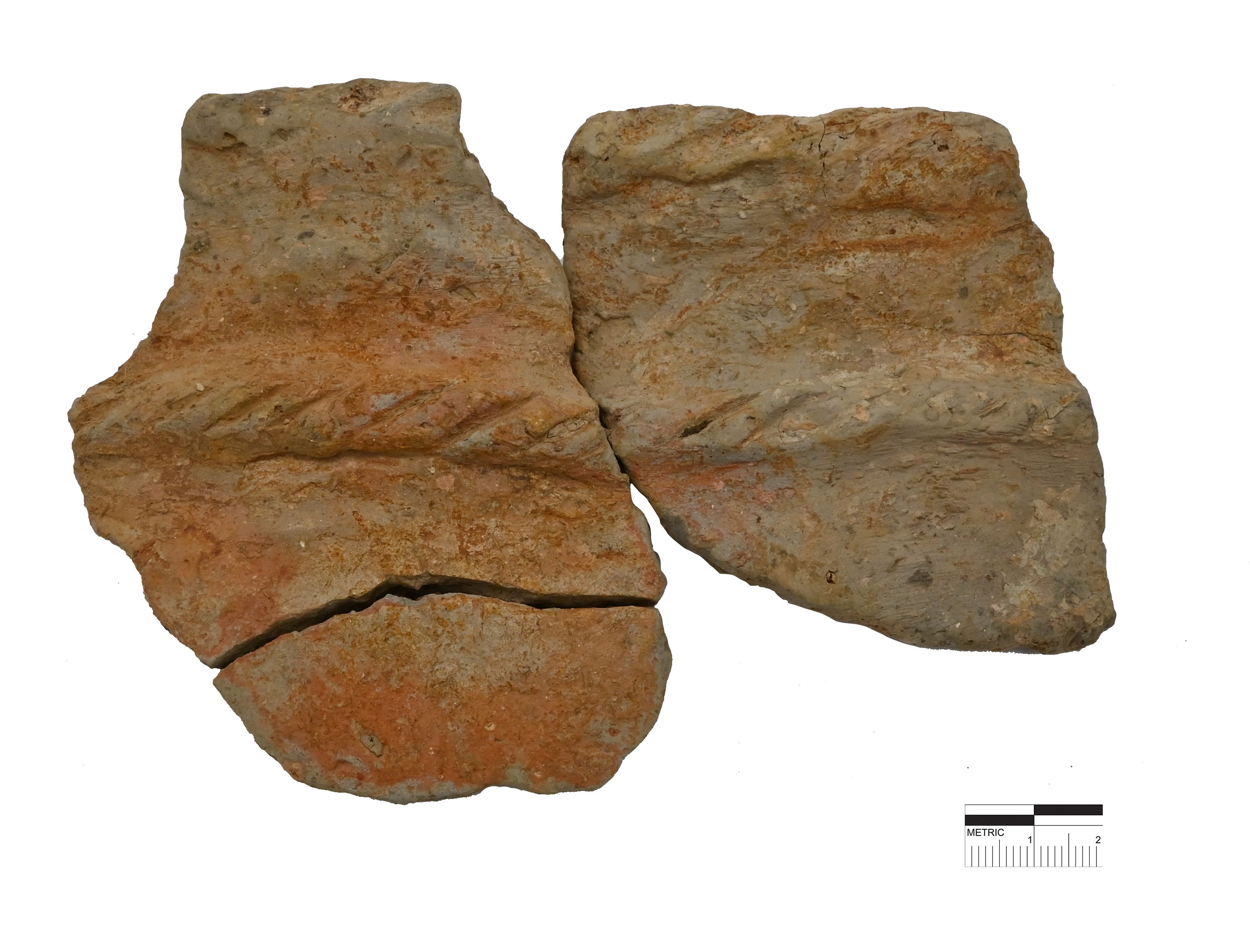 SINGOLO OGGETTO/ vaso, PERIODIZZAZIONI/ PROTOSTORIA/ Età del Bronzo/ Età del Bronzo recente