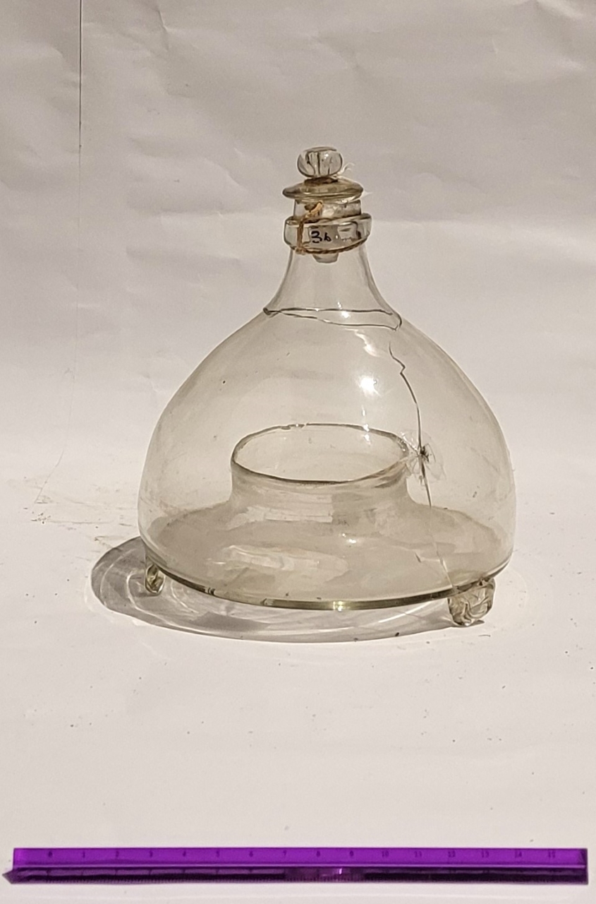 moschera (acchiappamosche, ARREDI E SUPPELLETTILI/ CONTENITORI, RECIPIENTI E OGGETTI DI USO DOMESTICO) - bottega specializzata