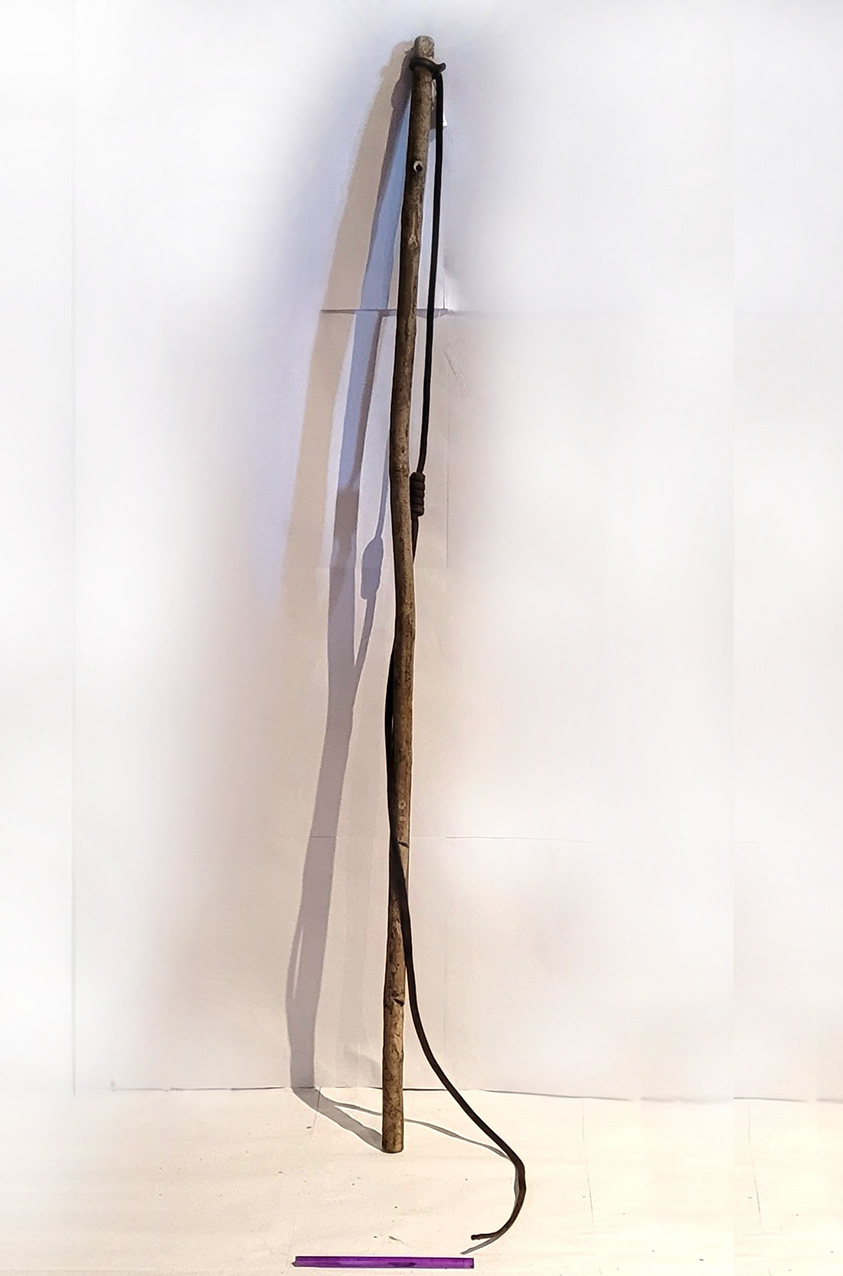 puntogliu (frusta, per bestiame, STRUMENTI E ACCESSORI/ AGRO-SILVO-PASTORALI) - artigianato agro-pastorale