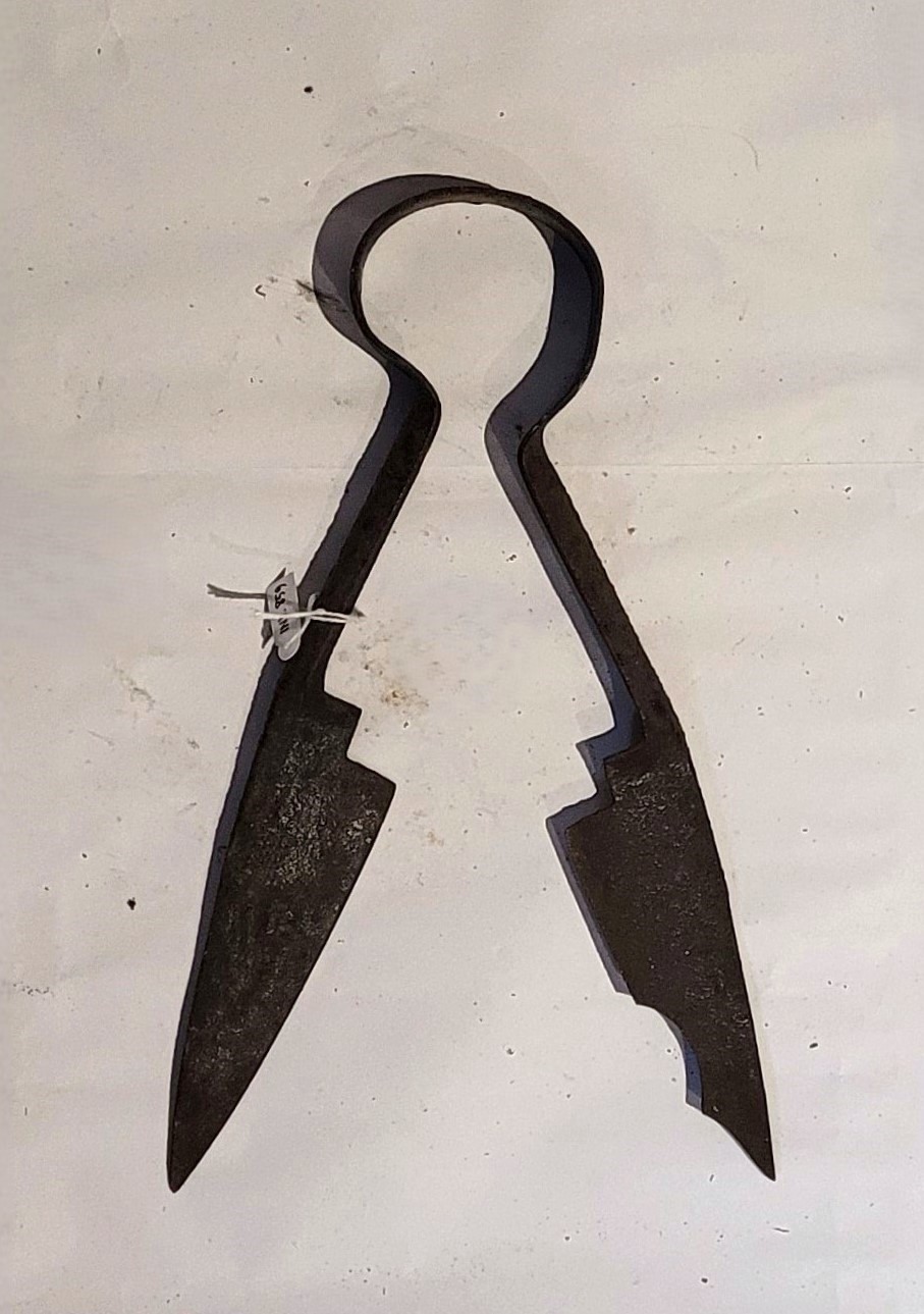 folbiza pà tundì li peguri (forbici, da tosatura, STRUMENTI E ACCESSORI/ AGRO-SILVO-PASTORALI) - bottega del fabbro