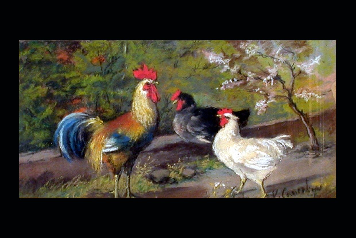 polli nel prato (disegno) di Camerlingo V (sec. XX)