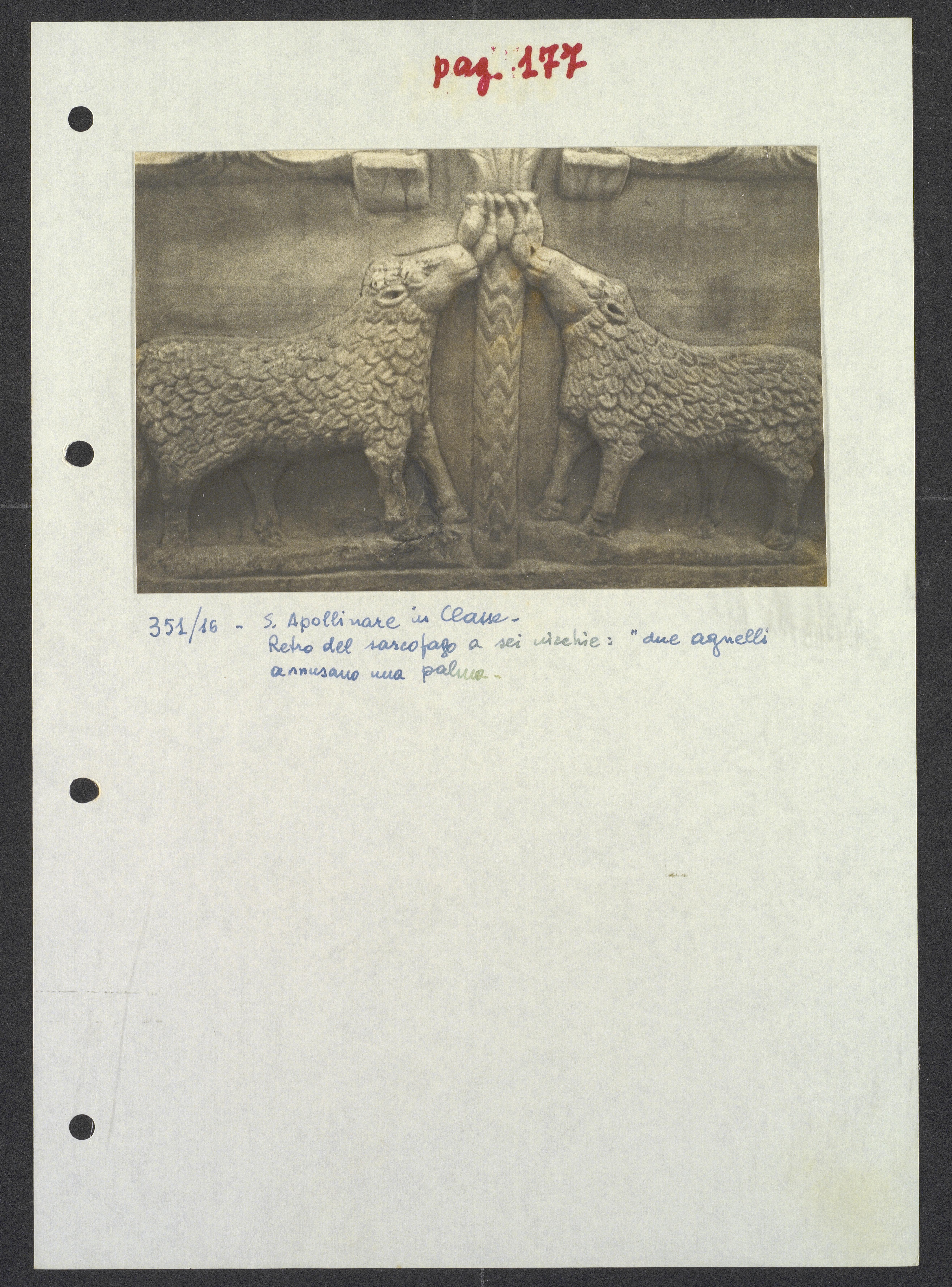 Ravenna - Basilica di Sant'Apollinare in Classe (positivo) di Torre, Franco (XX)