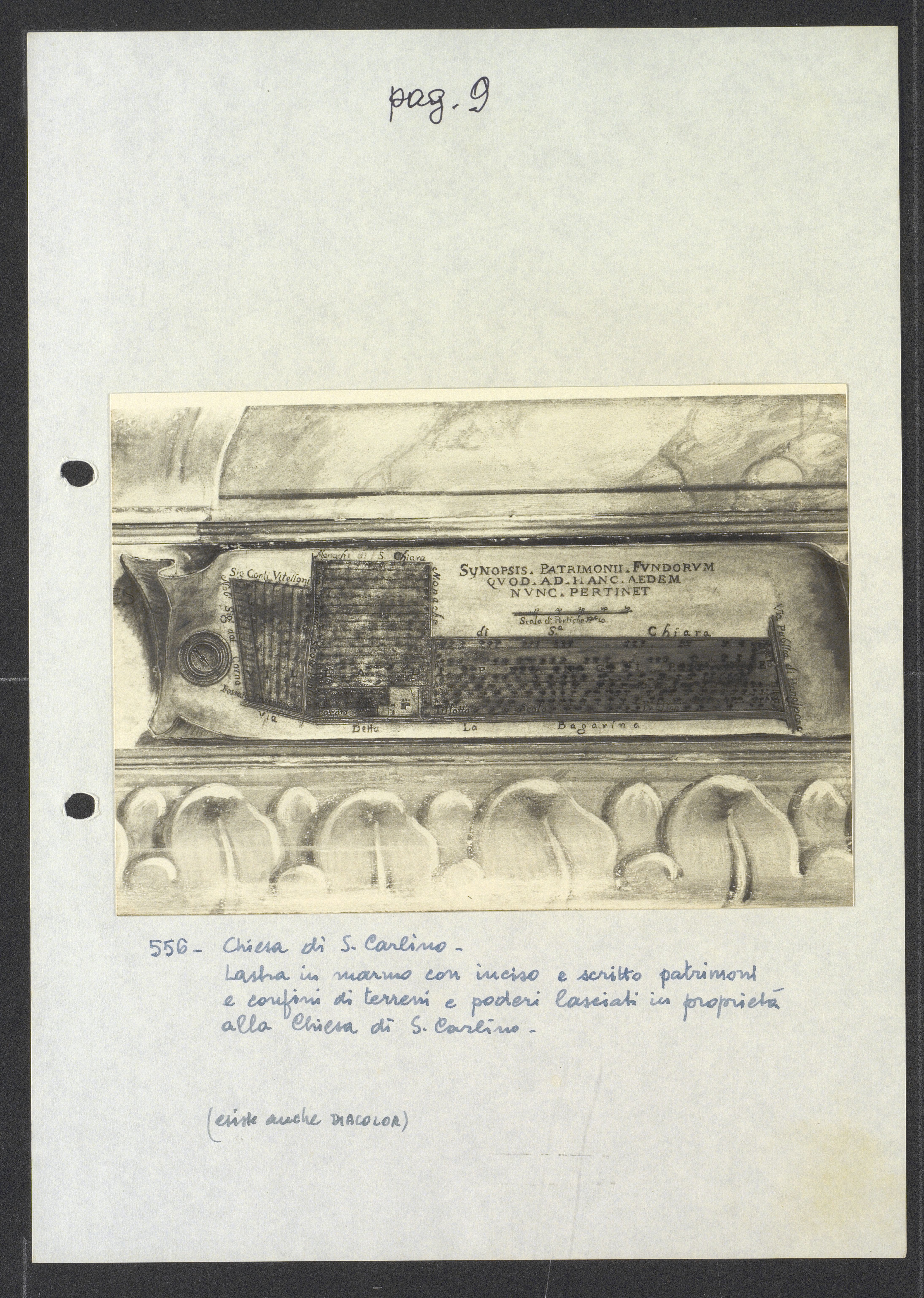 Lastre di marmo (positivo) di Torre, Franco (XX)