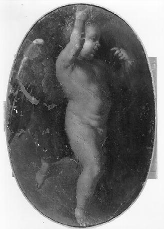 Angelo che vola tenendo fra le mani un velo (dipinto) di Sogliani Giovanni Antonio (sec. XIV)
