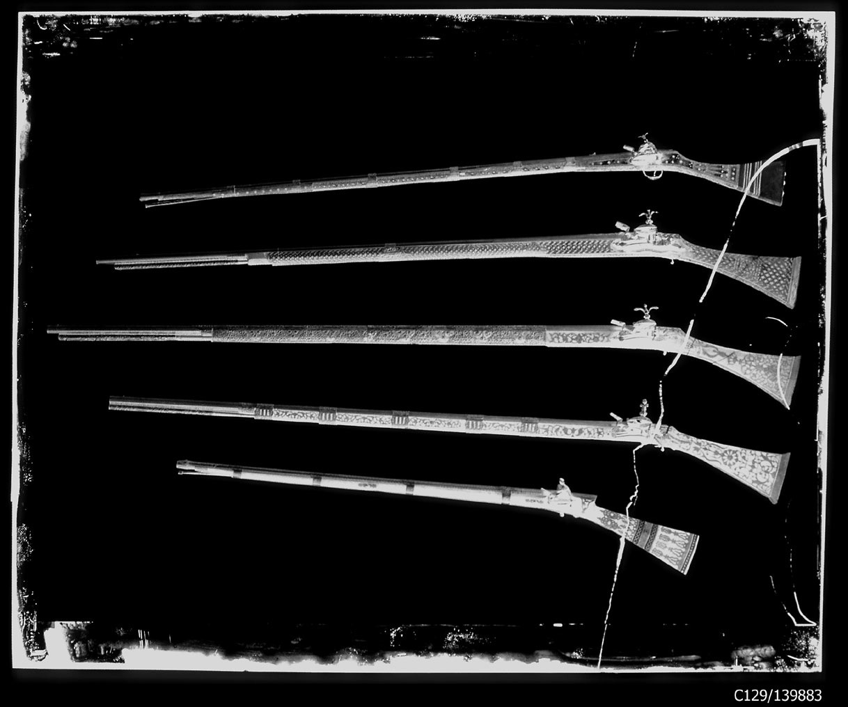Torino - Armeria Reale - Armi da fuoco lunghe - Archibugi - M117 - M118 - M121 - M122 - M138 (negativo) di Anonimo (studio), Berra Bussolino Celestina - Berra Favale Gustava (studio) (XIX)
