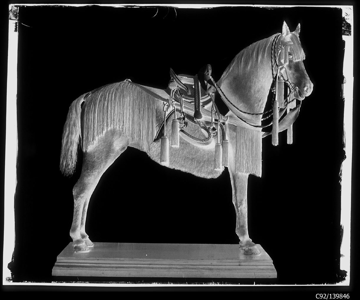 Torino - Armeria Reale - Finimenti equestri - Selle - Cavalli - 584 - 589 (negativo) di Anonimo (studio), Berra Bussolino Celestina - Berra Favale Gustava (studio) (XIX)