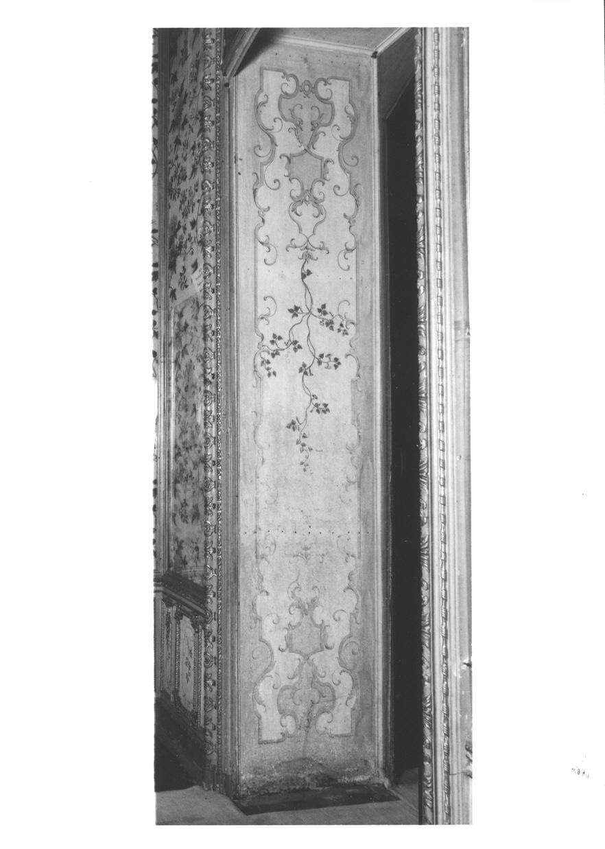 MOTIVI DECORATIVI VEGETALI (stipite di porta, serie) di Pozzo Giovanni Pietro (terzo quarto sec. XVIII)