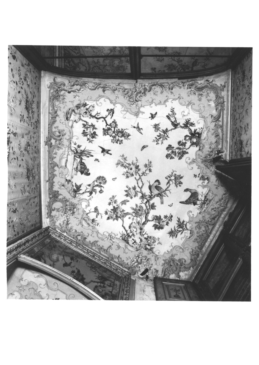 MOTIVI DECORATIVI VEGETALI E ANIMALI (soffitto dipinto, opera isolata) di Pozzo Giovanni Pietro (terzo quarto sec. XVIII)
