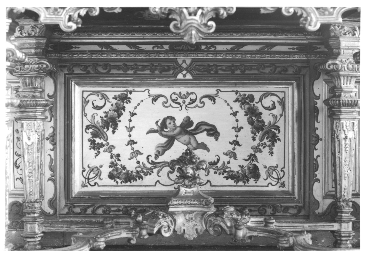 putti alati e fiori (elemento decorativo, elemento d'insieme) di Fariano Giovanni Francesco (secondo quarto sec. XVIII)
