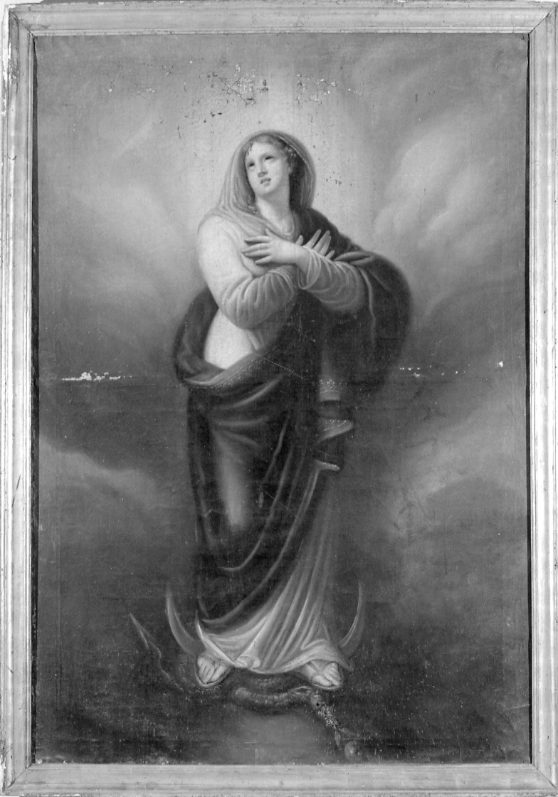 Madonna Immacolata (dipinto, opera isolata) - ambito piemontese (sec. XIX)