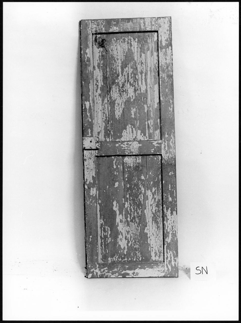 scuro di finestra, opera isolata - ambito piemontese (sec. XIX)