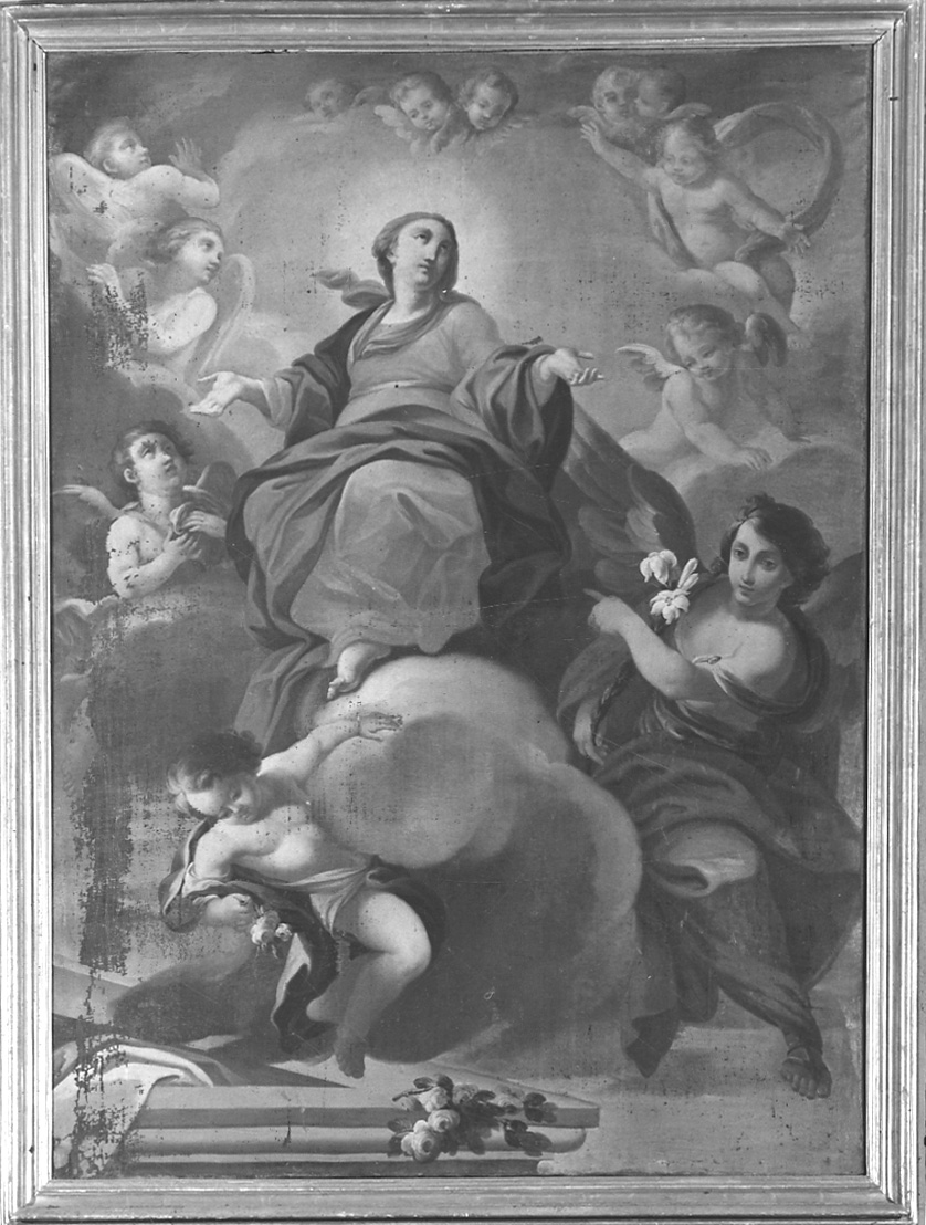 assunzione della Madonna (dipinto, opera isolata) - ambito piemontese (metà sec. XVIII)