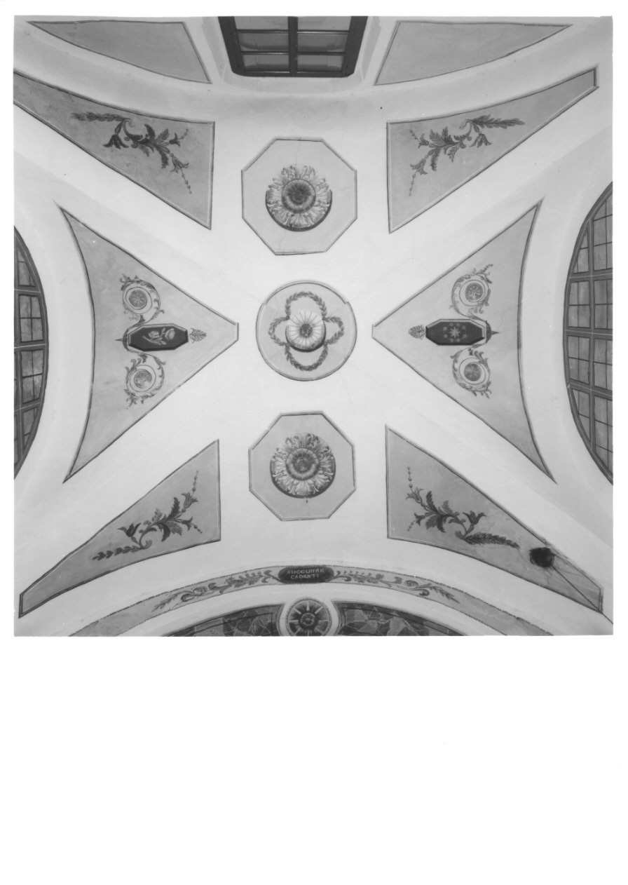 motivi decorativi a girali vegetali (soffitto dipinto, opera isolata) - ambito ossolano (seconda metà, prima metà sec. XIX, sec. XX)