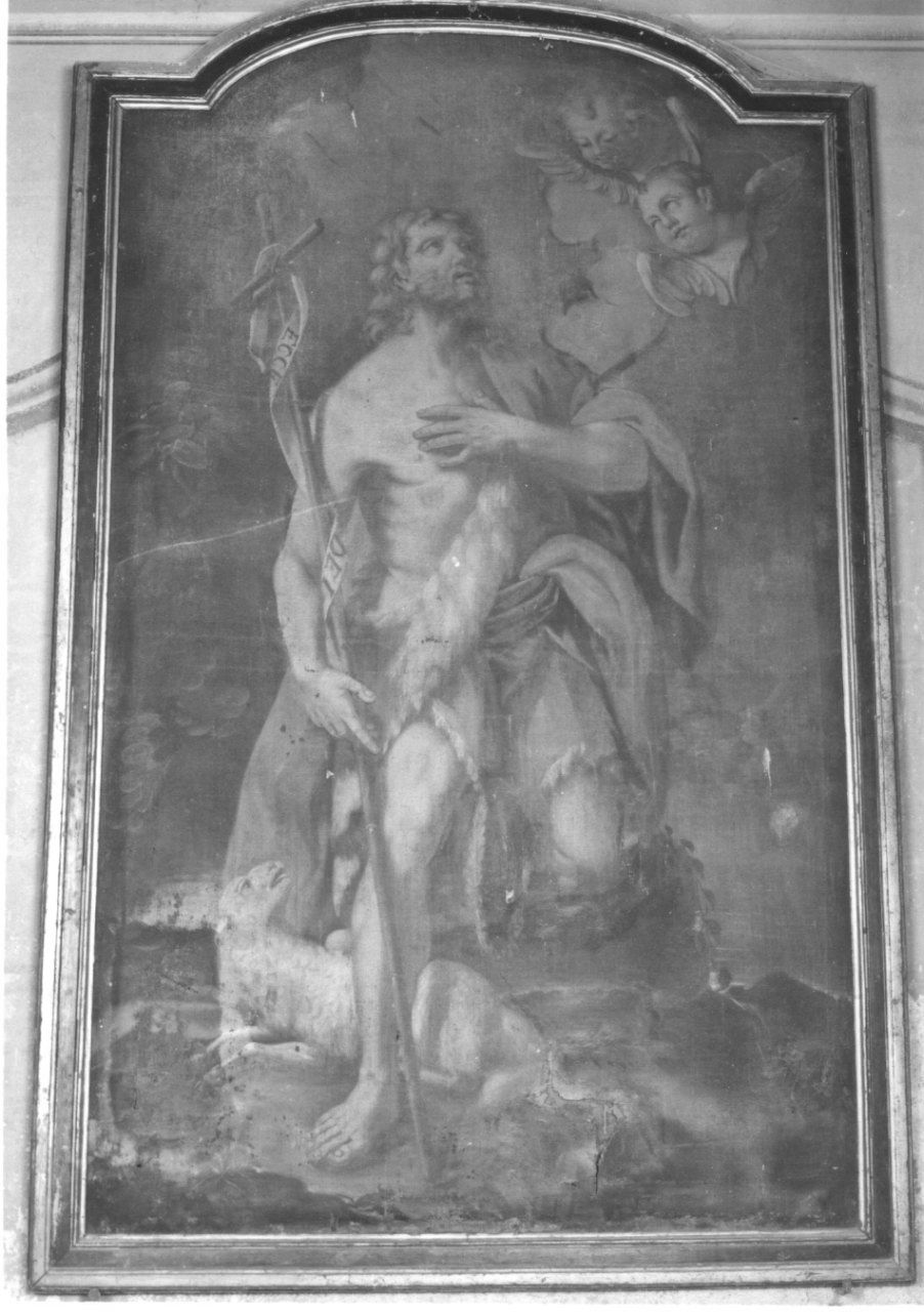San Giovanni Battista (dipinto, opera isolata) - ambito piemontese (prima metà sec. XVIII)
