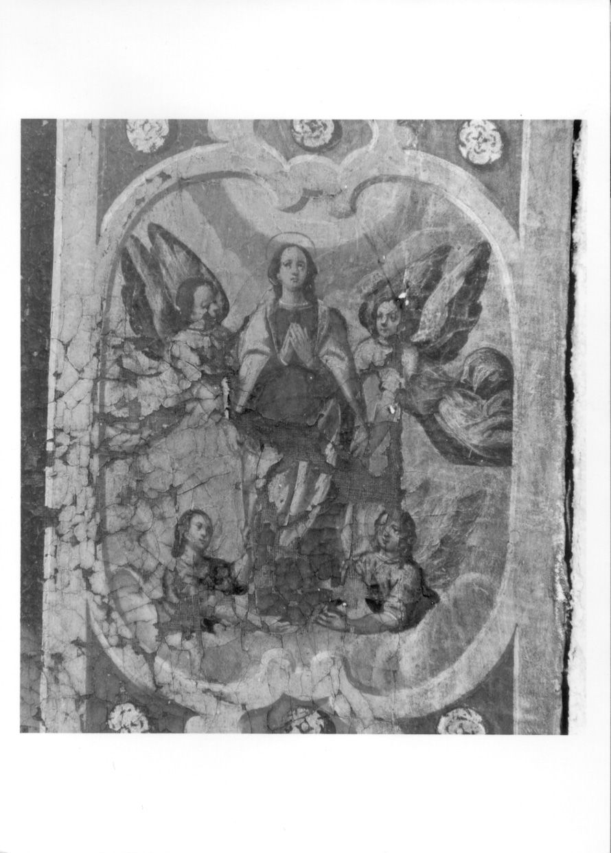 ASSUNZIONE DELLA MADONNA (dipinto, elemento d'insieme) di Steuchus Agostino (secondo quarto sec. XVII)