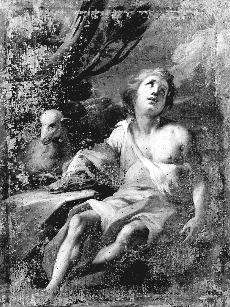 San Giovannino con l'agnello (dipinto, opera isolata) di Borsetti Carlo (maniera) (sec. XVII)