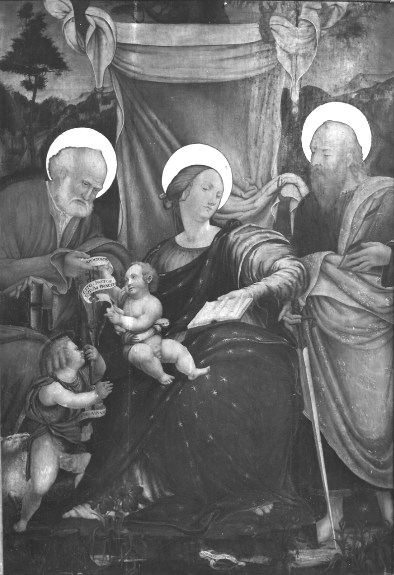 Madonna con Bambino, San Pietro e San Paolo (dipinto, opera isolata) di Novelli Sebastiano (sec. XVI)