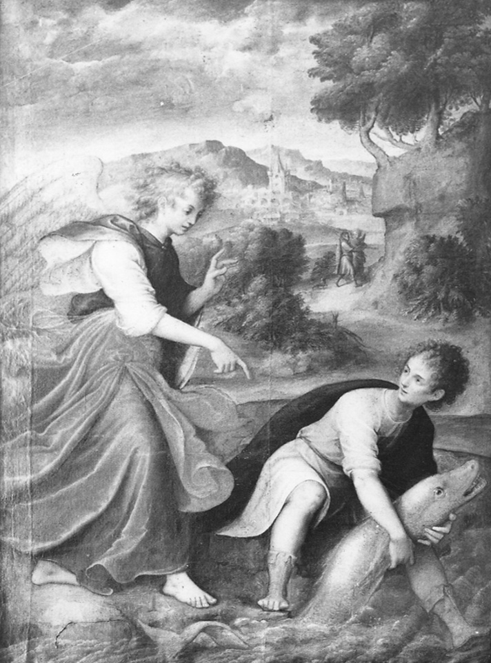 Tobia e l'Angelo (dipinto, opera isolata) di Caccia Guglielmo detto Moncalvo (inizio sec. XVII)