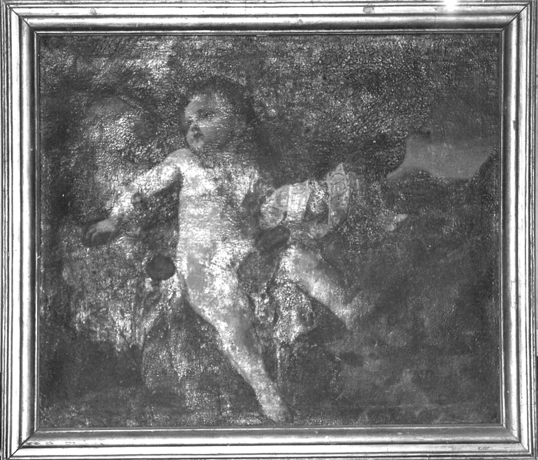 San Giovannino con l'agnello (dipinto, opera isolata) - ambito ligure (sec. XVII)