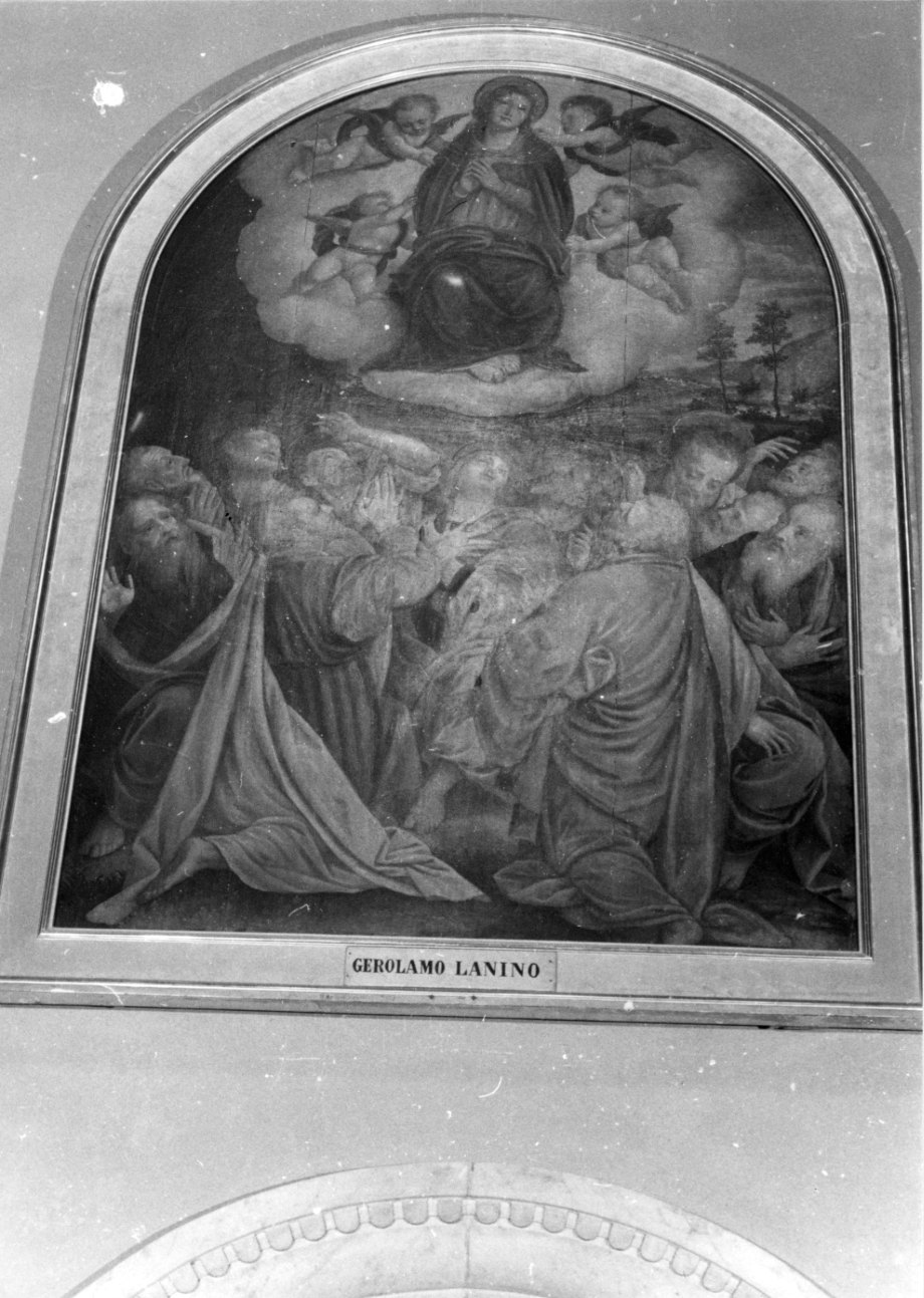 Madonna Assunta con angeli e apostoli (dipinto, opera isolata) di Lanino Bernardino (ultimo quarto sec. XVI)