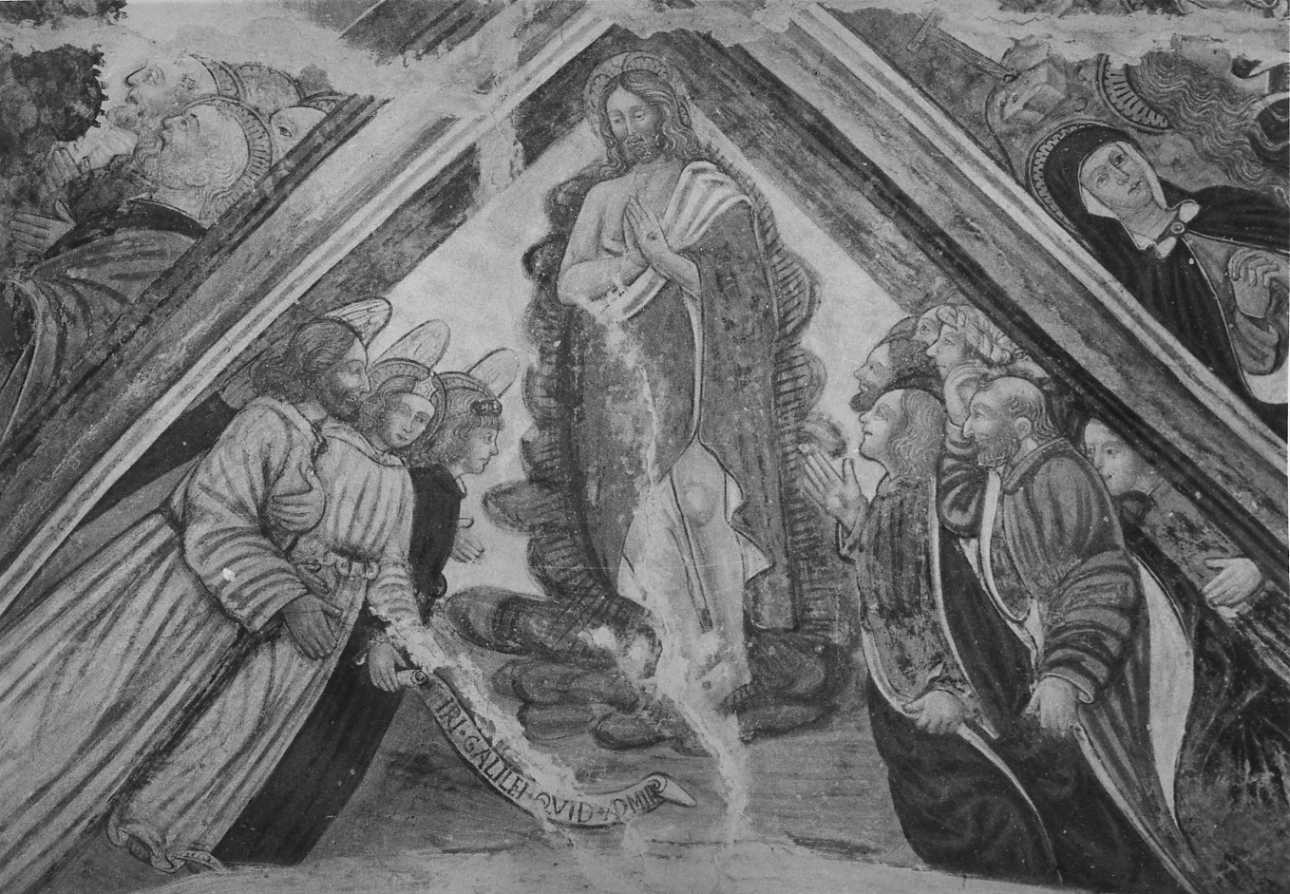ascensione di Cristo (dipinto, elemento d'insieme) di De Bosis Daniele (attribuito) (inizio sec. XVI)