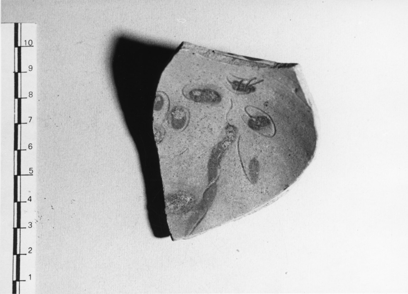 ciotola, frammento - bottega Italia settentrionale (secc. XVI/ XVII)