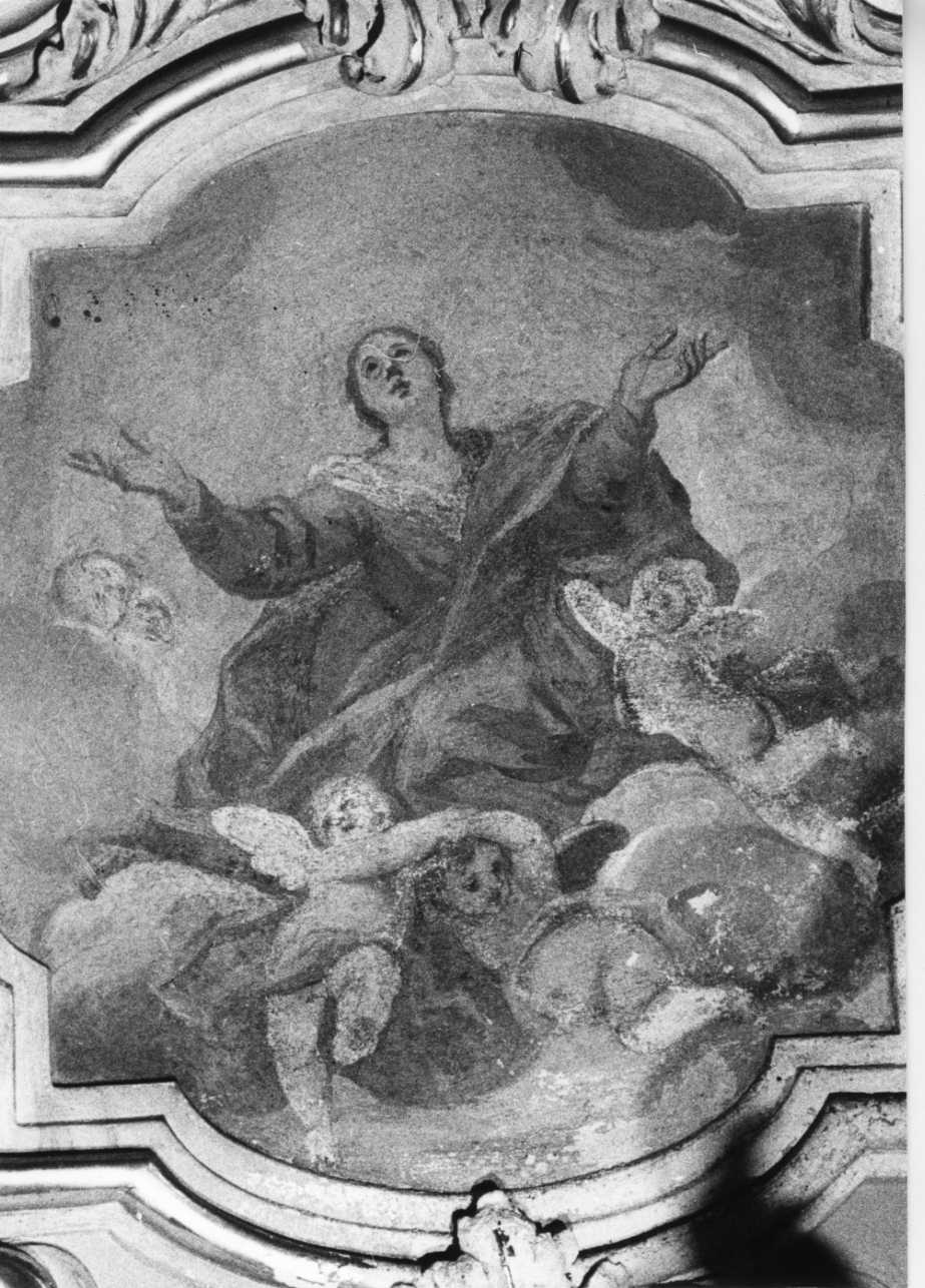 assunzione della Madonna (dipinto, elemento d'insieme) di Gaggini Giovanni Francesco (primo quarto sec. XVIII)