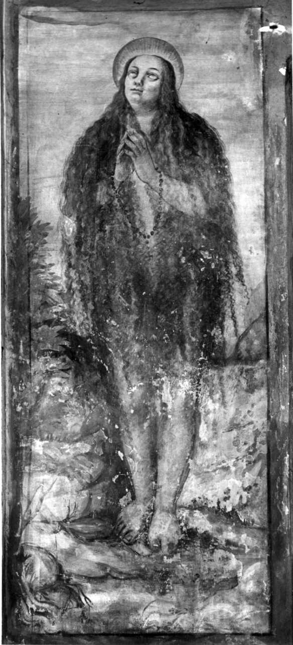 Santa Maria Maddalena penitente (dipinto, opera isolata) - ambito vercellese (primo quarto sec. XVII)