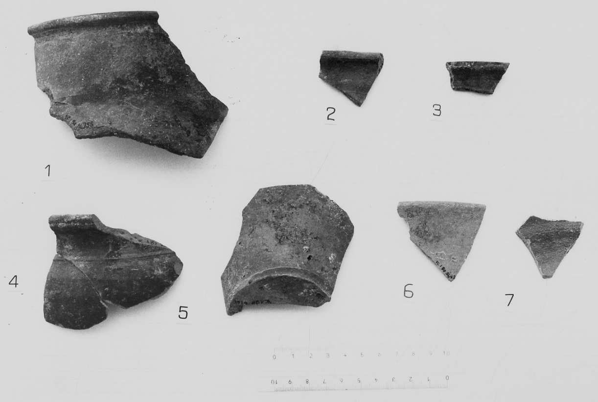 recipiente, frammento - bottega padana (secc. XVI/ XVIII)