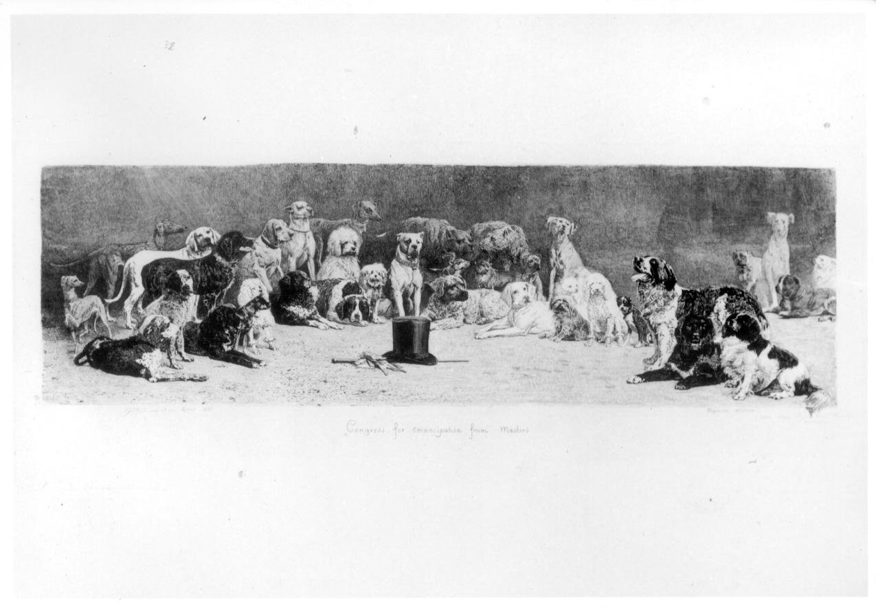 cani riuniti intorno al cappello del padrone (stampa) di Gilli Alberto Maso (sec. XIX)