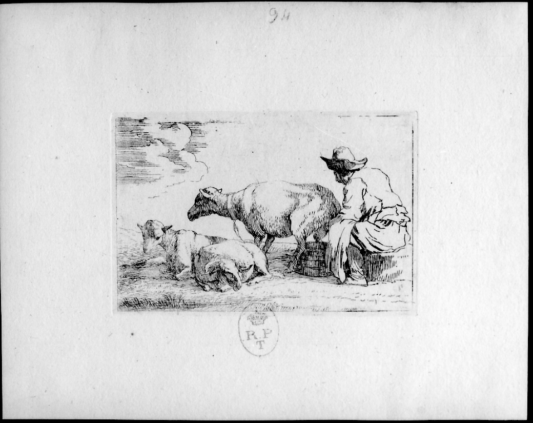 LA MUNGITURA DELLE PECORE, pastore che munge una pecora (stampa) di Miel Jan (prima metà sec. XVII)