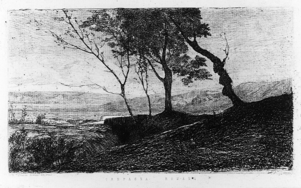 paesaggio con alberi (stampa) di Avondo Vittorio (terzo quarto sec. XIX)
