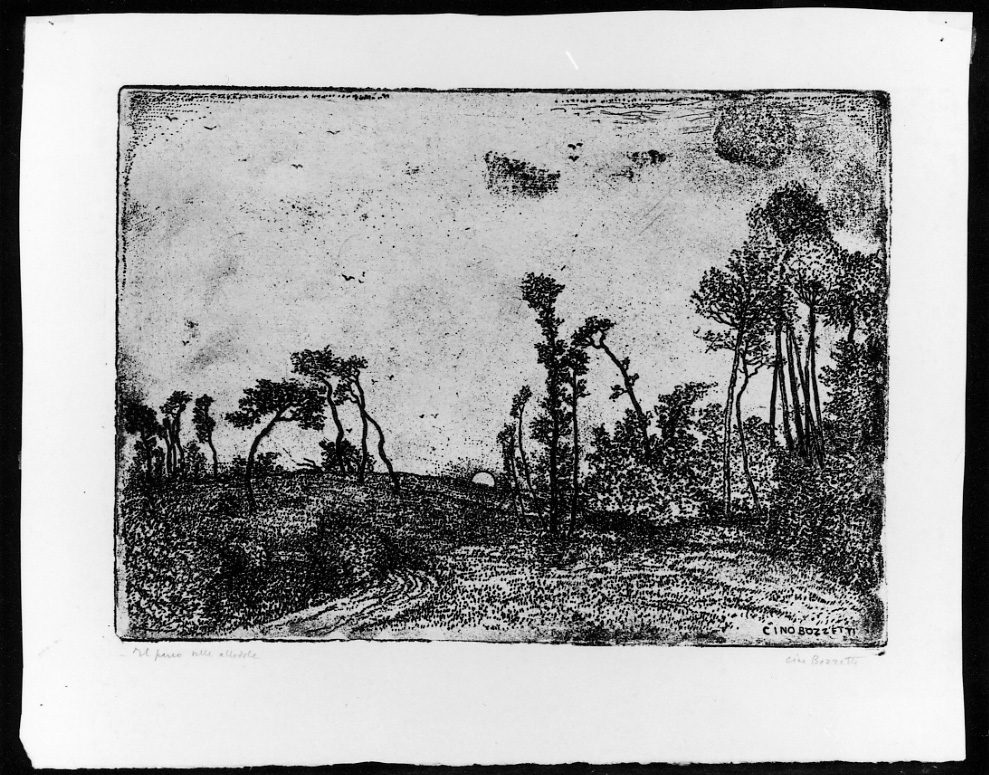 paesaggio con alberi (stampa) di Bozzetti Francesco detto Cino Bozzetti (secondo quarto sec. XX)